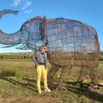 Shar with Elephas Maximus