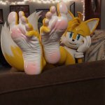 Tails sweaty feets