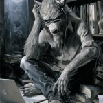 alpha wolf studying