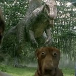 Dog and dino