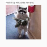 Please my wife she's very sick