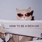 rich cat