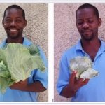 Disappointed Cabbage Man