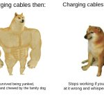 Buff Doge vs. Cheems | Charging cables then:; Charging cables now:; Survived being yanked, twisted, and chewed by the family dog; Stops working if you look at it wrong and whisper "USB" | image tagged in memes,buff doge vs cheems | made w/ Imgflip meme maker
