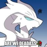 reshiram are we deadass