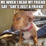 I'd rather trust a car with no breaks | ME WHEN I HEAR MY FRIEND SAY, "SHE'S JUST A FRIEND" | image tagged in suspicious dog,friends | made w/ Imgflip meme maker