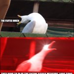 band | THE FLUTES WHEN; THEY HAVE TO PLAY THE ENTIRE 56894 MEASURE-LONG SONG | image tagged in deep breath seagull | made w/ Imgflip meme maker