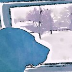 Dog Mirror Image Mode