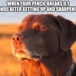 Is this relatable or just me | WHEN YOUR PENCIL BREAKS 0.1 SECONDS AFTER GETTING UP AND SHARPENING IT | image tagged in dog accepting fate,funny animals | made w/ Imgflip meme maker