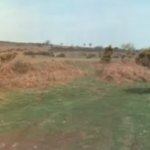 How not to be seen (Monty Python)