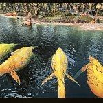 The lemons have converged