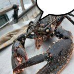 lobter speech bubble