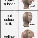 R we sure were safe? | I saw a bear; but colour is it. yellow | image tagged in memes,panik kalm panik | made w/ Imgflip meme maker