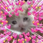 Cat heart emojis adorable