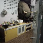 Elephant in the room