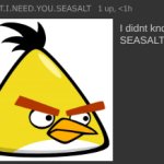 SEASALT OUY meme