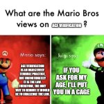 Can we do both? | AGE VERIFICATION; AGE VERIFICATION IS AN OBJECTIVELY TERRIBLE PRACTICE, BUT UNFORTUNATELY IT IS THE LAW. THEREFORE, THE ONLY WAY TO REMOVE IT WOULD BE TO CHALLENGE THE LAW. IF YOU ASK FOR MY AGE, I'LL PUT YOU IN A CAGE | image tagged in mario bros views,memes,age verification,ai | made w/ Imgflip meme maker