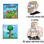 Me when terraria | ME; ME | image tagged in i would never be simp | made w/ Imgflip meme maker