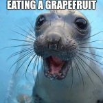 Grapefruit :) | HOW I FEEL AFTER EATING A GRAPEFRUIT | image tagged in yay it's friday | made w/ Imgflip meme maker