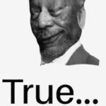 True Morgan Freeman (GIF version) GIF Template