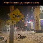If I slips I sitz | When fate sends you a sign but u blind; V4Vanessa | image tagged in slippity slipzz,fate,darwin award | made w/ Imgflip meme maker