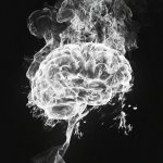 brain in fire