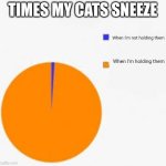 Pie Chart Meme | TIMES MY CATS SNEEZE; When I'm not holding them; When I'm holding them | image tagged in pie chart meme | made w/ Imgflip meme maker