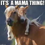 Foal Of Mine | IT'S 
A MAMA THING! | image tagged in memes,foal of mine | made w/ Imgflip meme maker