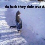 Dafuq u doin Randos - Apex Legends