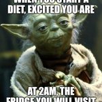 So true | WHEN YOU START A DIET, EXCITED YOU ARE; AT 2AM, THE FRIDGE YOU WILL VISIT | image tagged in memes,star wars yoda | made w/ Imgflip meme maker