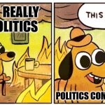 This Is Fine | I'M NOT REALLY INTO POLITICS; POLITICS COMING INTO YOU | image tagged in memes,this is fine | made w/ Imgflip meme maker