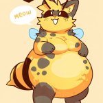 fat beecat meme