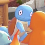 Squirtle Face
