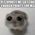 please guys i need this | PLS UPVOTE ME SO I CAN GET ENOUGH POINTS FOR MSMG: | image tagged in sad hampster,memes,upvote,begging,please | made w/ Imgflip meme maker