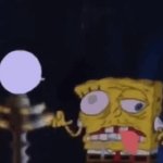 spong GIF Template