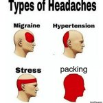 Types of Headaches meme | packing | image tagged in types of headaches meme | made w/ Imgflip meme maker