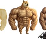 Three buff doges