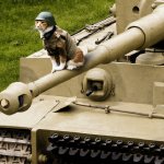 War Cat