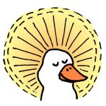 Holy duck