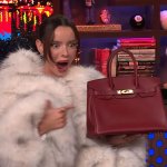 Maura Birkin Bag
