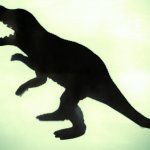 Ditto Mirror Image Mode