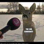 Deer interviewed | WHEN YOU DECIDE TO SPICE UP THE INTERVIEW QUESTIONS:; THE JOB CANDIDATE; Give me an example of a time when you
 had a murderous thought about your manager.
- What was it and how did you help your
 team try to achieve it?
- Were you successful in the end? 
- Looking back, would you have done anything differently? | image tagged in deer interviewed | made w/ Imgflip meme maker