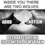 AuDHD | AUTISM; ADHD; BOTH ARE FIGHTING FOR CONTROL OF MY BRAIN | image tagged in inside you there are two wolves | made w/ Imgflip meme maker