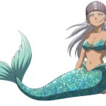 Mermaid Pirate