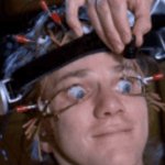 Epstein files normies