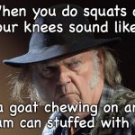 Senile Neil Young | When you do squats do your knees sound like... a goat chewing on an aluminum can stuffed with celery? | image tagged in senile neil young | made w/ Imgflip meme maker