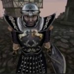 Morrowind Preview Guard