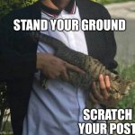 Cat Militiaman Stands Guard | STAND YOUR GROUND; SCRATCH YOUR POST | image tagged in ya i open carry,memes,cat,stand your ground,scratch,guns | made w/ Imgflip meme maker