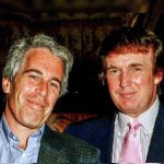 Epstein pedo trump