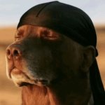 Durag dog